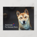 Search for pooch postcards For pets