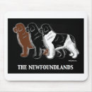 Search for newfies electronics Landseer