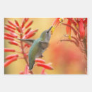 Search for birders gift wrap Hummingbird