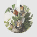 Search for audubon birds christmas tree decorations John james audubon