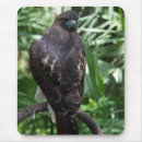 Search for tail mousepads Hawk
