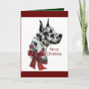 Search for great dane christmas cards Pets