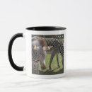 Search for zebra face mugs Outdoors