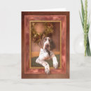 Search for german shorthaired pointer christmas cards Gsp