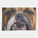 Search for english tea Dog