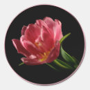 Search for double monogram stickers Bride