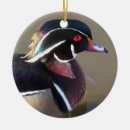Search for wood duck christmas tree decorations Waterfowl