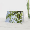 Search for spring tree cards Springtime