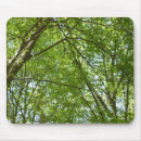 Search for springtime mousepads Trees
