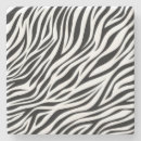Search for zebras coasters Wild life