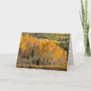 Search for fall valley cards Forest