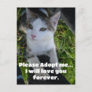 Search for pet adoption postcards Adopt don't shop
