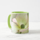 Search for dogwood tree mugs Blossom