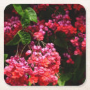 Search for fuschia barware Flower