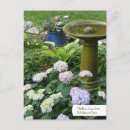Search for birdbath Summer