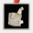 Search for cutout christmas tree decorations Natural science