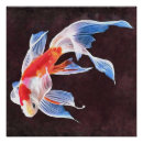 Search for goldfish art Pet fish