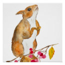 Search for funny squirrel posters Animal