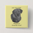Search for labradors badges Sporting dogs