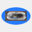Search for feline oval stickers Cat