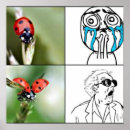 Search for scared posters Funny