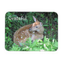 Search for gratitude magnets Cute