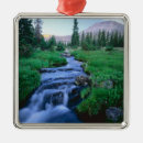 Search for utah christmas tree decorations Wilderness