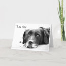Search for i am sorry cards Dog
