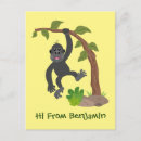 Search for funny monkey postcards Jungle