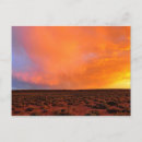 Search for desert sunset postcards Nature