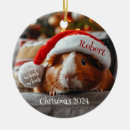 Search for guinea pig christmas decor Santa