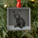 Search for french bulldog decor Puppy