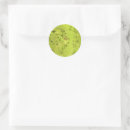 Search for green butterflies stickers Vintage