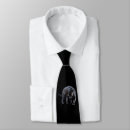 Search for panther ties Wildlife