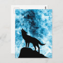Search for the blue wolf postcards For him