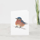 Search for bluebird cards nature