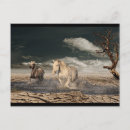 Search for desert animals postcards Horses