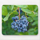 Search for ripe mousepads Food