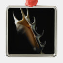 Search for objection christmas tree decorations Studio shot