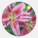 Search for stargazer lily stickers Floral