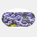 Search for violets stickers Flowers