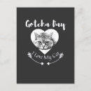 Search for shelter invitations Kitten