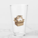 Search for cat tumblers Fluffy