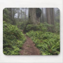 Search for redwood mousepads Trail