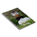 Search for puffin notebooks Atlantic