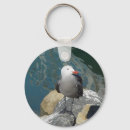 Search for seagull key rings Animals