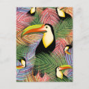 Search for animals of hawaii postcards Nature