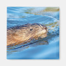 Search for preservation magnets Wildlife