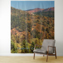 Search for sunny day art Photograph