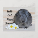 Search for happy summer postcards Cute